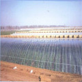 UV Protected 200 Micron greenhouse film plastic covering